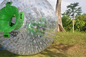 TPU si inverdiscono la palla gonfiabile di Zorb del punto, palle umana gonfiabile del criceto diametro di 2.0m x di 3.0m per erba fornitore